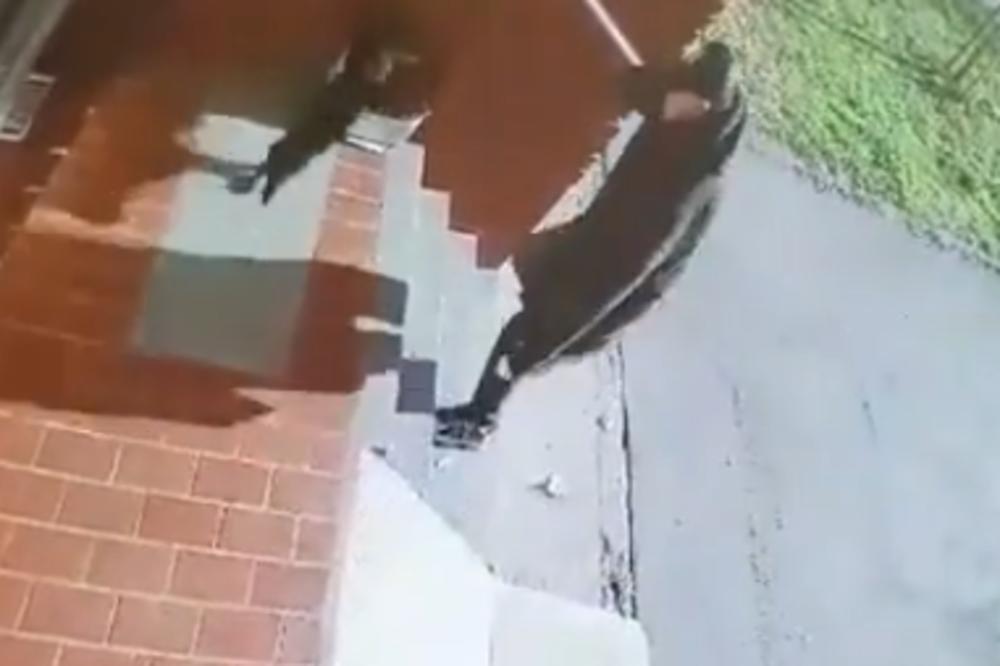 OVAJ SNIMAK UZNEMIRIO JE NOVI SAD: Čovek došao do ulaza zgrade SAMO DA BI IŠUTIRAO psa! OVO JE STRAŠNO (VIDEO)