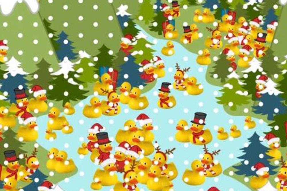 MEĐU PAČIĆIMA KRIJE SE JEDAN OBUČEN KAO DEDA MRAZ: Rekord za pronalaženje je 34 sekunde - možete li da ga oborite?