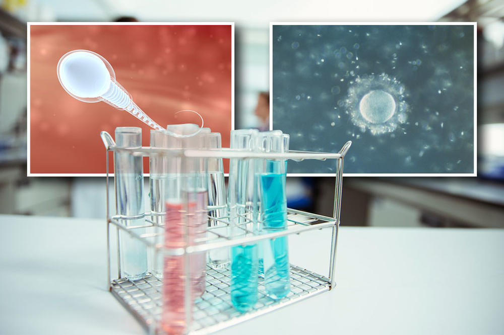 SRPKINJE DONIRANJU NULA JAJNIH ĆELIJA! Otkrile su nam da li bi ih poklonile i zašto još nema DONORA (ANKETA)