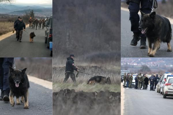 EKSKLUZIVNE FOTOGRAFIJE: Specijalno obučeni psi u potrazi za MALČANSKIM MONSTRUMOM! (FOTO)