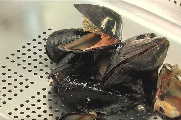 OTKRIVEN RAK KOJI SE PRENOSI! Polako se ŠIRI PLANETOM!