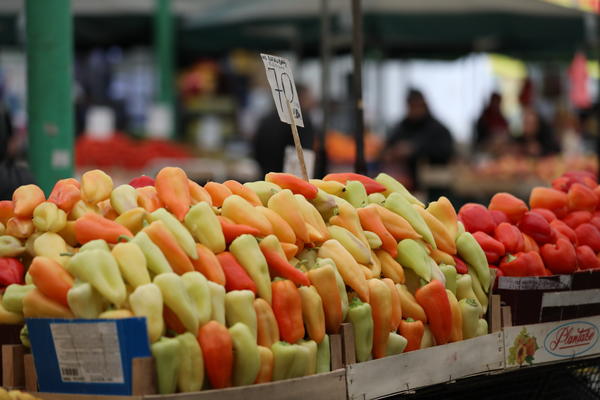 OD DANAS MOŽETE KOD FRIZERA, NA PIJACE U ZATVORENOM, KOD KOZMETIČARA, U TERETANE: Ali ima jedan USLOV!