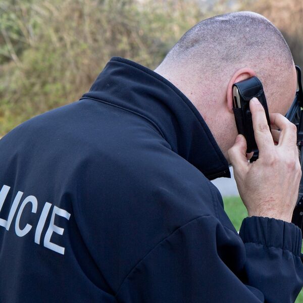 VIC DANA OD KOJEG ĆETE SE SLATKO NASMEJATI: Posvađao se Perica sa policajcem...