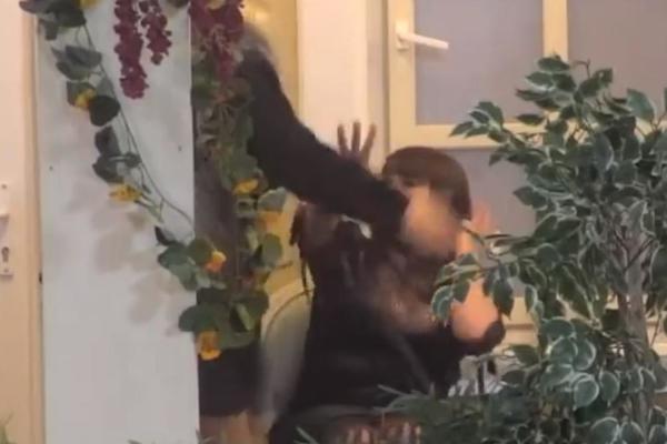 ISPLIVAO UZNEMIRUJUĆI SNIMAK BATINANJA: Marija TUČE MILJANU PESNICAMA PO GLAVI! Ološu jedan, trebalo je da te UBIJE