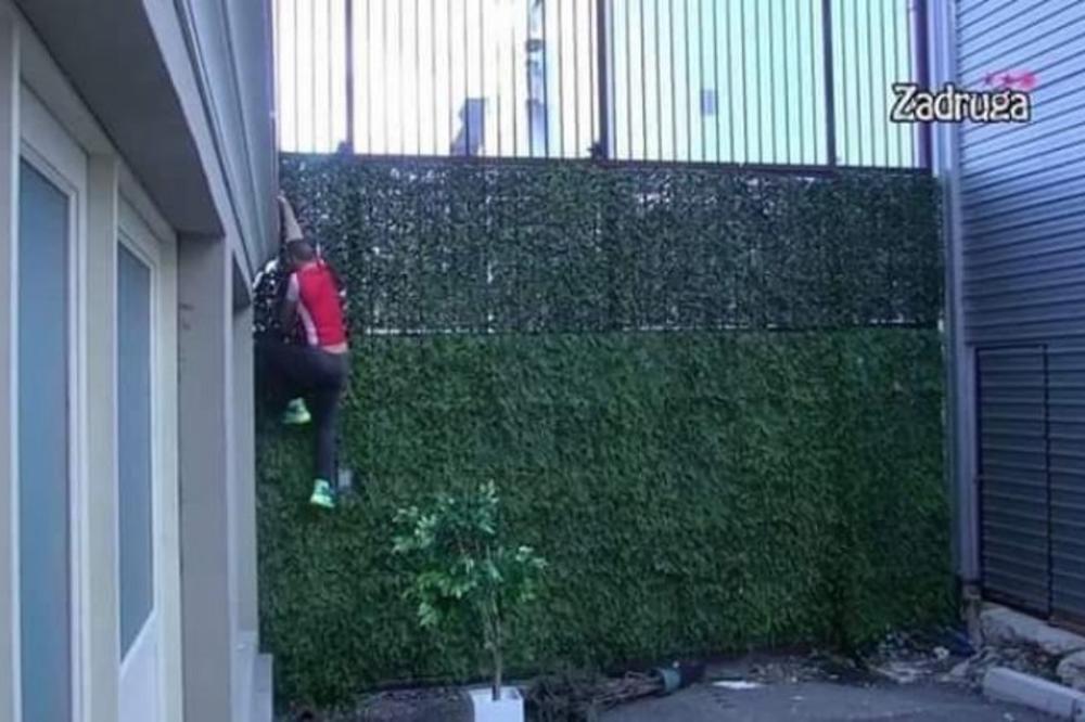 TOMOVIĆ BEŽI IZ RIJALITIJA: Alarmantno stanje u Zadruzi!