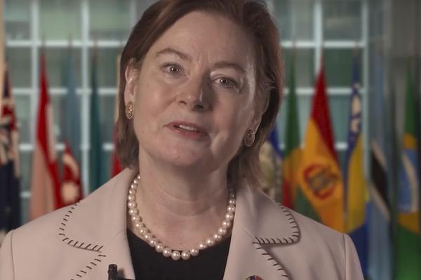 AMERIČKA AMBASADORKA REAGOVALA ZBOG PALJENJA ZASTAVE: Obrušila se na Beograd!