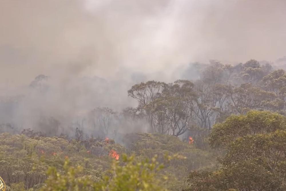 BEOGRAĐANKA IZ SIDNEJA SA ZEBNJOM ČEKA SUBOTU! Zbog požara koji VEĆ DUGO BUKTE ne može mirno ni da spava