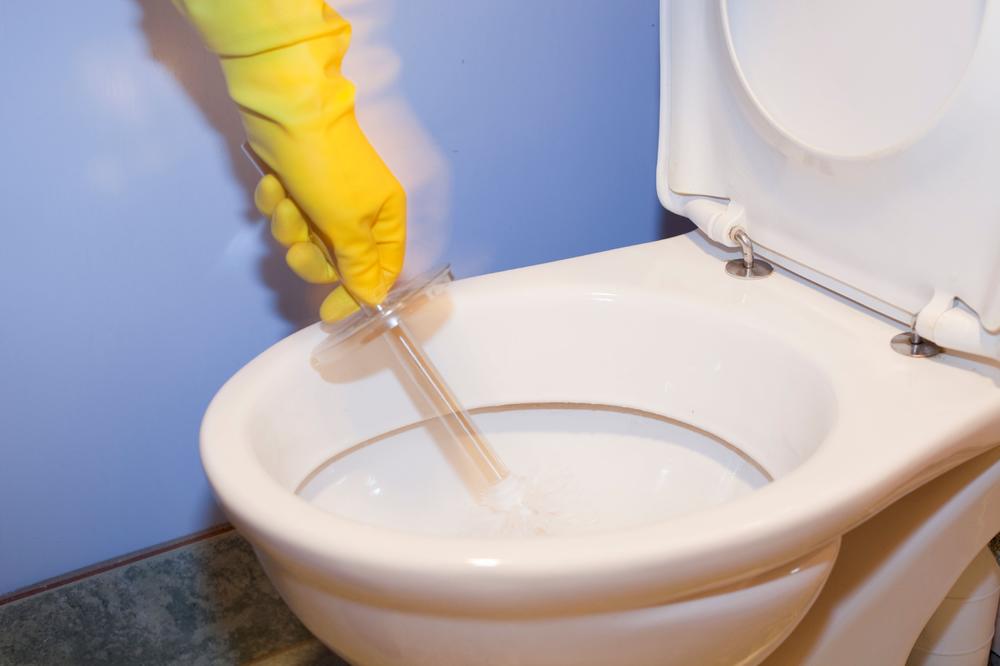 ONO ŠTO JE URADILA SA ČETKOM ZA WC ŠOLJU ZGROZILO JE SVE: Ovo nije za one koji su gadljivi