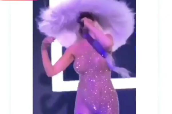 JELENA KARLEUŠA NA NASTUPU U PROVIDNOM KOMBINEZONU! Sve se videlo i GRUDI ali i ONA STVAR sa ili bez MLADEŽA!