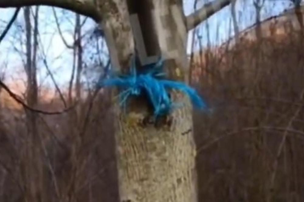 STRAVA I UŽAS NA DRUGI DAN BOŽIĆA! Pojavio se snimak leša psa posle SEKTAŠKOG ORGIJANJA, ovo je HOROR (VIDEO)