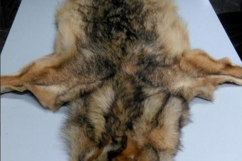 SRPSKI CARINICI OTVORILI SU KOFER KOJI JE NOSIO RUMUN! Ono što je nosio je SVE UZNEMIRILO (FOTO)