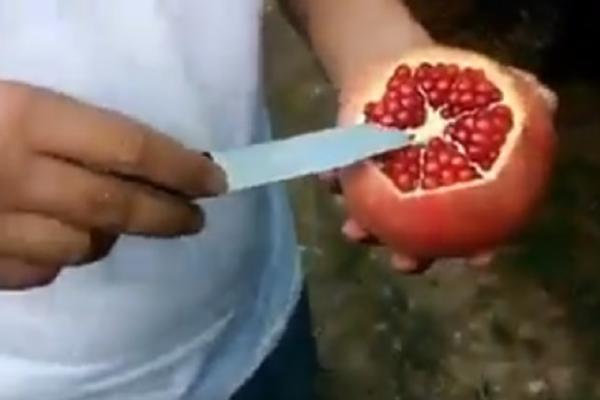 MELEM ZA BOLESTI KOJE MUČE MNOGE OD NAS? Ovo je prava istina