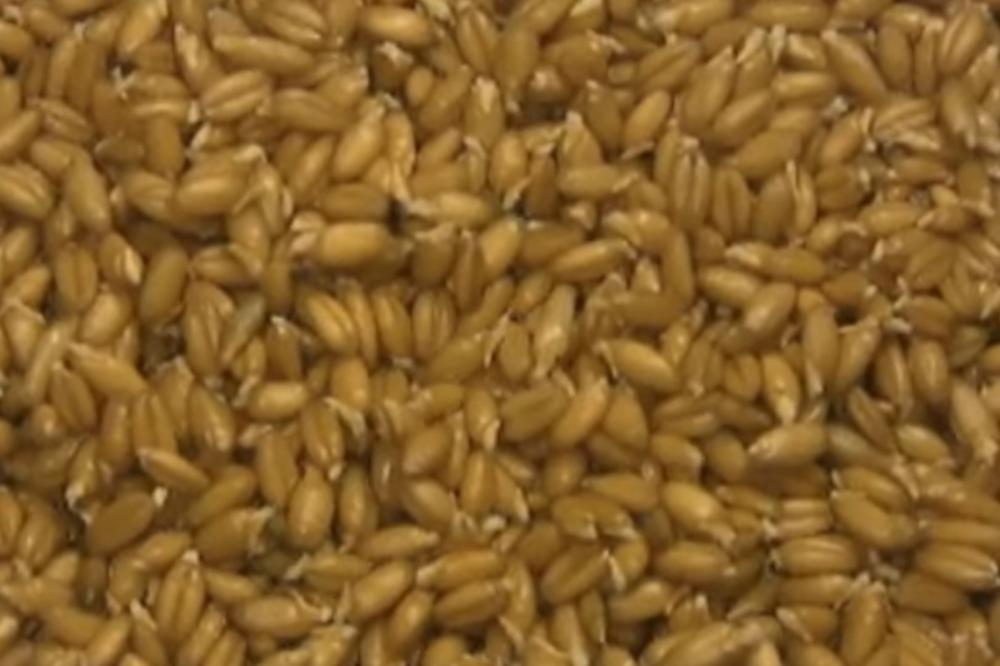 RECEPT ZA SAVRŠENO SLAVSKO ŽITO: 2 sastojka su KLJUČ USPEHA (RECEPT)