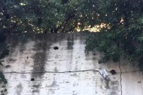 PAR IZGUBIO RAVNOTEŽU, PA PALI SA ZIDA VISOKOG 3 METRA! Oboje su u ŽIVOTNOJ OPASNOSTI