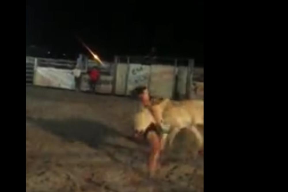 ŽENA PROTIV BIKA: Šta mislite, KO JE POBEDIO? (VIDEO)