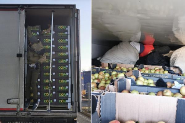 SRPSKI CARINICI SU PRETRKELJISALI HLADNJAČU PUNU JABUKA! Njih ČETVORICA su bili unutra, primećeni su NA SKENERU