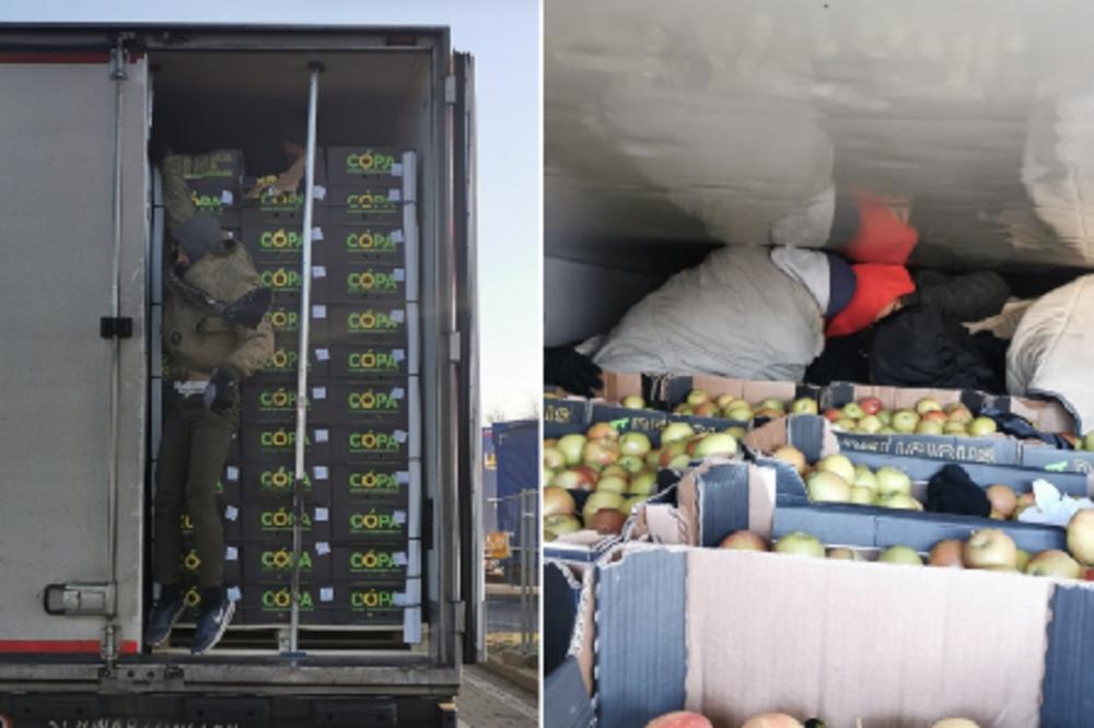 SRPSKI CARINICI SU PRETRKELJISALI HLADNJAČU PUNU JABUKA! Njih ČETVORICA su bili unutra, primećeni su NA SKENERU