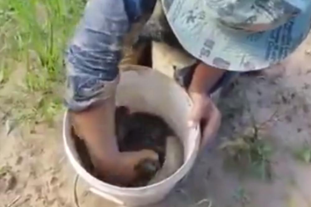 SIPALI SU JAJA I PASTU ZA ZUBE U RUPU NA ZEMLJI: Onda se desilo nešto potpuno neočekivano! (VIDEO)