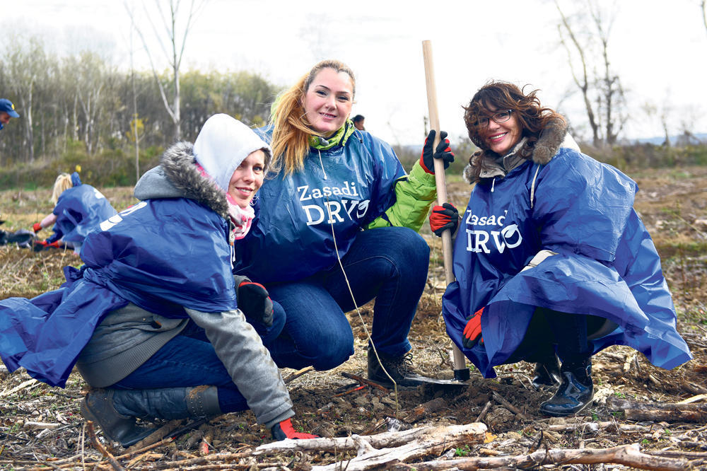 ZASADI DRVO, ZASADI SVOJ KISEONIK: Ponovo sadimo i stvaramo zelenu budućnost