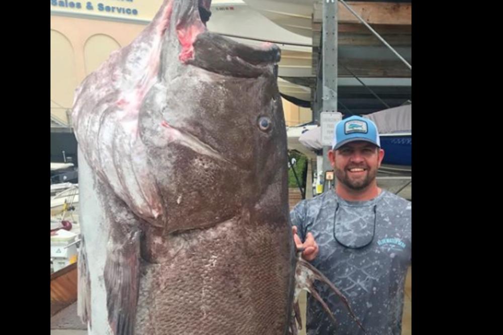 UPECALI DŽINOVSKU RIBU, PA OTKRILI NEŠTO JOŠ BOLJE: Kad su saznali šta je to zapravo, i naučnici su ZANEMELI (FOTO)