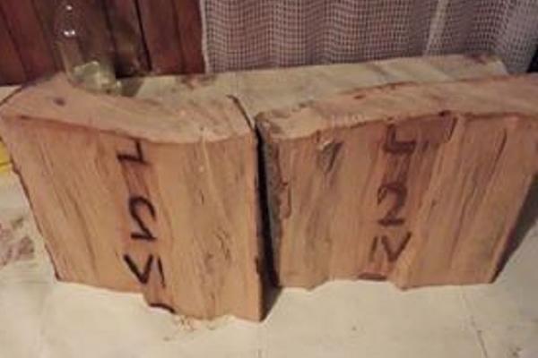 DANA IZ VIŠEGRADA JE NABAVILA DRVA ZA ZIMU! Kada je počela da ih CEPA, videla je nešto od čega joj se SLEDILA KRV