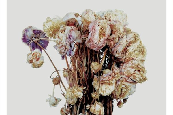 Sleater-Kinney: "No Cities To Love"