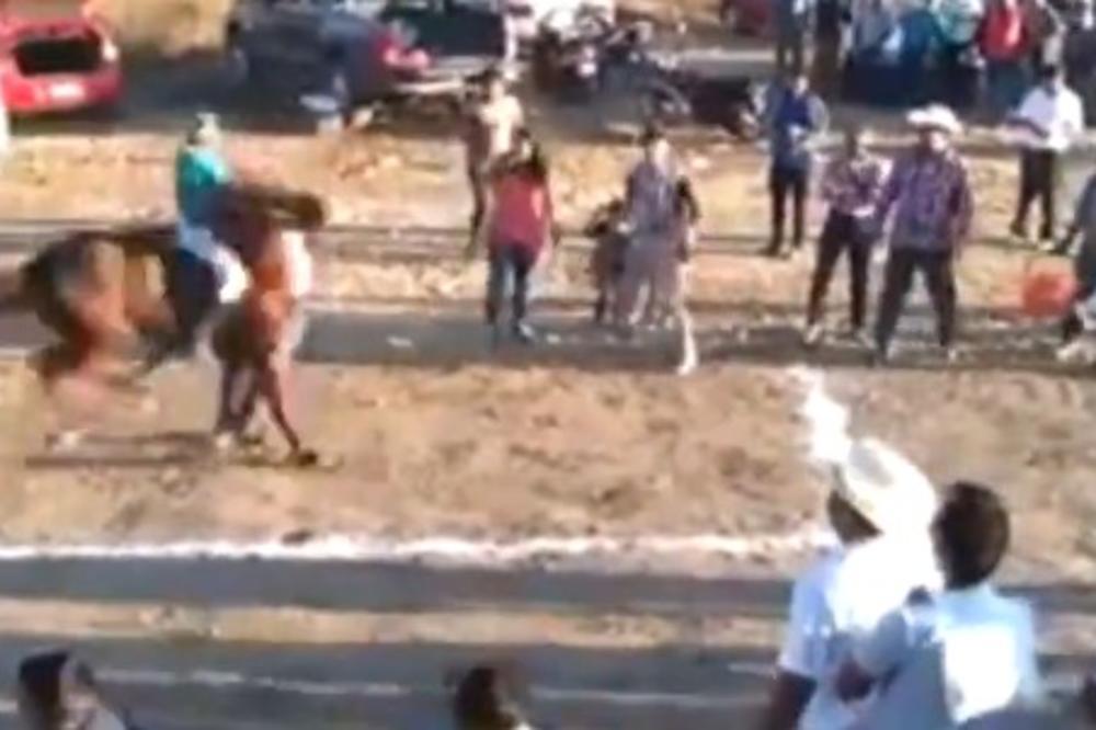 NEVIĐEN HOROR! Konj koji je jurio 70 na sat naleteo na čoveka i UNIŠTIO GA! (VIDEO)