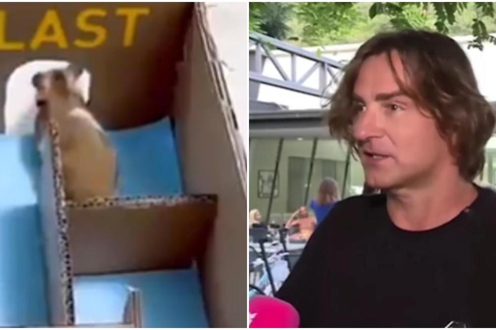 OVAKO ĐILAS ZAMIŠLJA DOLAZAK NA VLAST: Željko Mitrović je opet tvitovao, a sada je PREVAZIŠAO SEBE! (VIDEO)