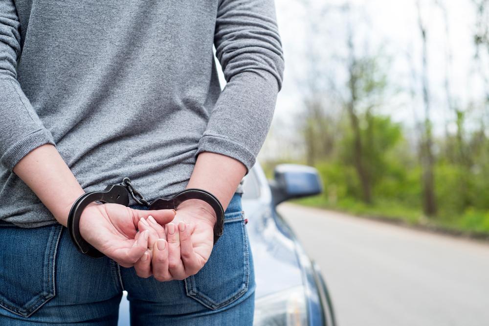 ŠOK KOD ZRENJANINA! Dečak (14) ukrao auto, ovcu, jagnje i jare, PA UBIO 2 PSA