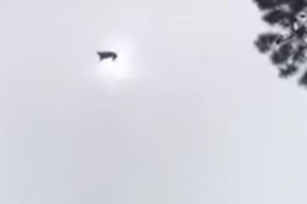 MORBIDNA ŠALA: Bogatašu UBACILI SVINJU u BAZEN, a njegova reakcija je PRAVI HIT (VIDEO)