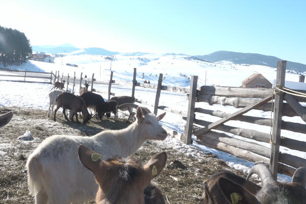JOŠ 8 NOVIH ZARAŽENIH OSOBA DOLAZI IZ OVOG DELA SRBIJE! Do sada ih je tamo umrlo 5!