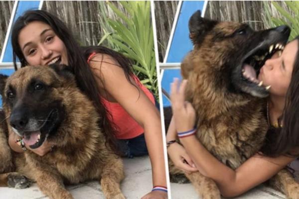 SLIKALA SE SA PSOM, A ONDA JE USLEDIO HOROR! Iz čista mira VUČJAK je UJEO za lice, KRVAVE SLIKE obišle SVET