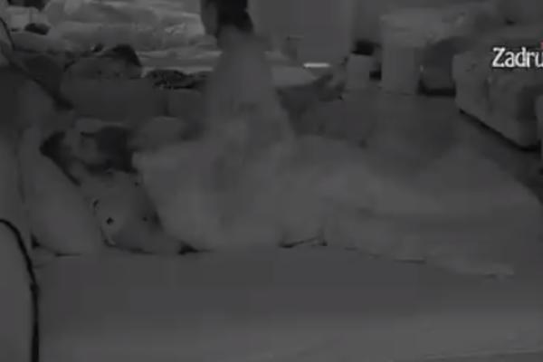 MINA I MENSUR POTPUNO GOLI! Imali vrelu akaciju u đakuziju, sve uslikano! Isplivale INTIMNE fotografije