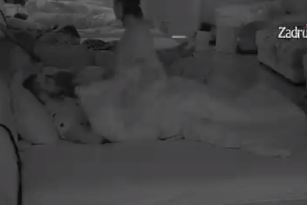 MINA I MENSUR POTPUNO GOLI! Imali vrelu akaciju u đakuziju, sve uslikano! Isplivale INTIMNE fotografije