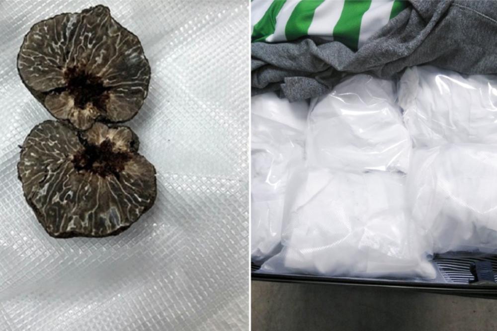 CARINICI SU OTVORILI KOFER SA GARDEROBOM: Unutra su imali i šta da vide, ROBA JE BILA VREDNA 10.000 EVRA (FOTO)