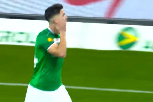 ZVEZDA NACILJALA SRPSKO DETE IZ ŠVAJCARSKE: Zvao me je Zvezdan Terzić lično!