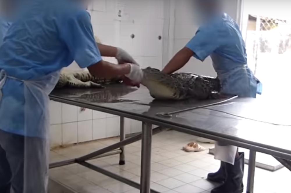 NIJEDNO ŽIVO BIĆE NE ZASLUŽUJE DA OVAKO PATI: Zbog luksuznih TORBI i CIPELA, životinje su BRUTALNO MUČENE (VIDEO)