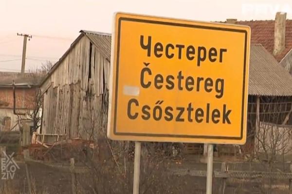 DOK SMRDI, LOVA KAPLJE: Nikola Nenadu plaća 20.000 dinara svakog dana i to zbog OVOGA! Najneobičniji SPOR U SRBIJI!