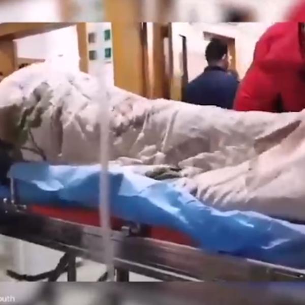 SMRTONOSNI VIRUS SE NEZADRŽIVO ŠIRI SVETOM: 3 HILJADE zaraženih KINEZA, a zaraza ZAHVATILA FRANCUSKU i AMERIKU!