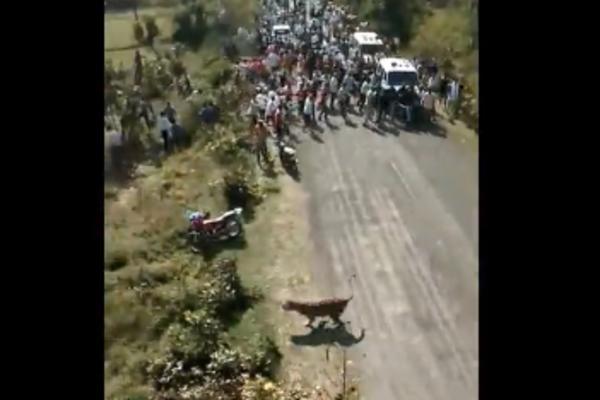 NAJSTRAŠNIJI NAPAD TIGRA: Celo selo bežalo od ZVERI, jedan meštanin nije imao sreće! (VIDEO)