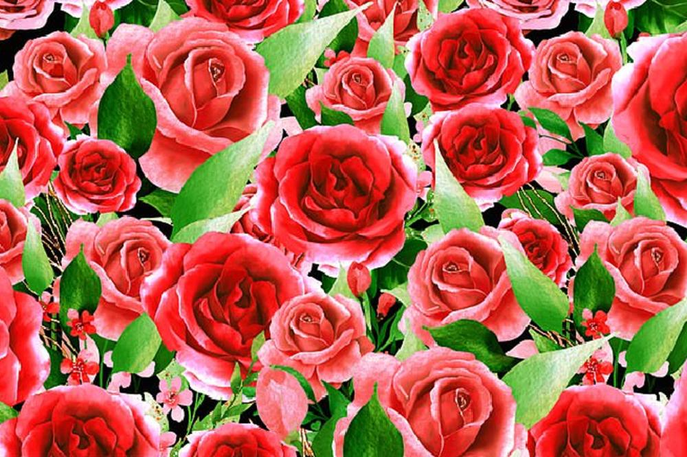 SAMO RETKI USPEJU DA ZA 3 MINUTA PRONAĐU PET SRCA U BUKETU RUŽA: Proverite moć zapažanja! (FOTO)