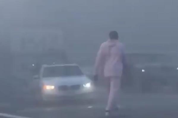 KOBI USRED SAOBRAĆAJNE NESREĆE: Ono što je uradio tada zadivilo je ceo svet! (VIDEO)