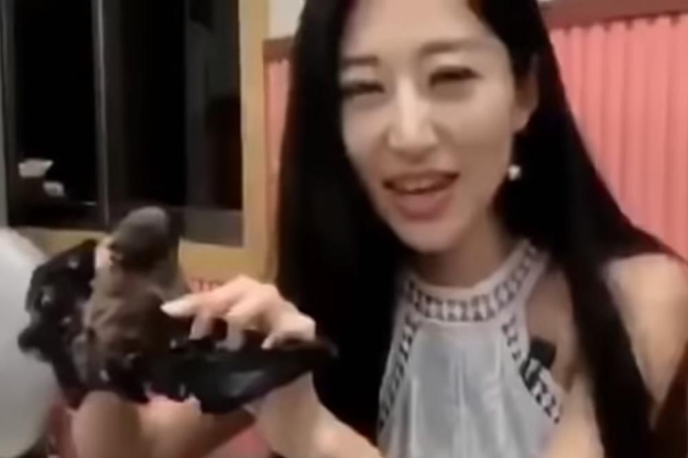 ŠTO SU JELI, JELI SU: Posle korone psi u Kini više nisu stoka, već kućni ljubimci