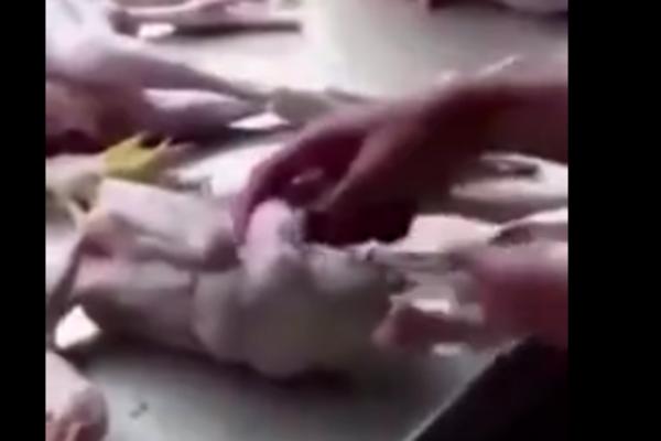 JE L MOGUĆE DA OVO RADE SA MESOM? Gomila ŠPRICEVA čeka i onda... (VIDEO)