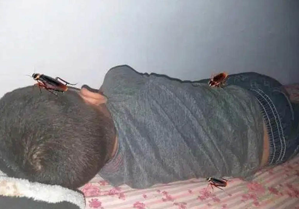 Ovu sliku je šerovalo na hiljade ljudi 