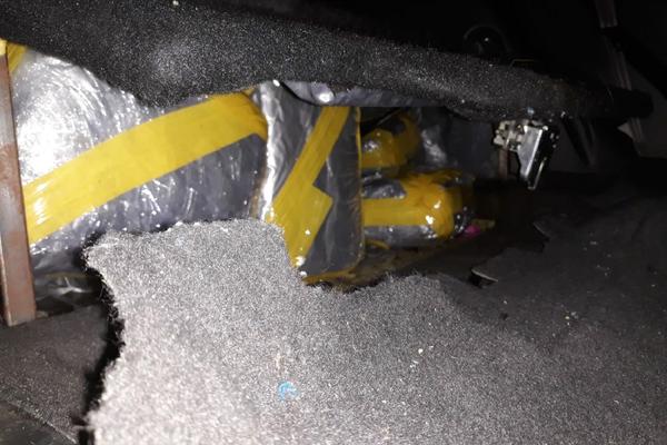 PAS NERON JE NEŠTO NANJUŠIO U PUNKERU DŽIPA: Kada su carinici izvršili pretres našli nešto što ih je UZNEMIRILO