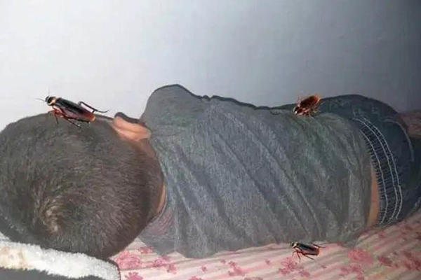 MAJKA JE OKAČILA SLIKU SVOG SINA, PO DETETU ŠETAJU BUBAŠVABE! Imala je dobar razlog za to (FOTO)