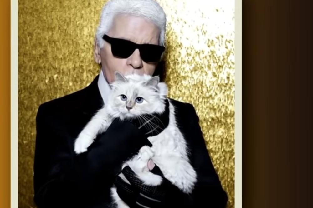 MAČKA KOJA ŽIVI BOLJE OD CELE SRBIJE: Njen vlasnik je UMRO, ali ona i dalje MASNO ZARAĐUJE! (VIDEO)