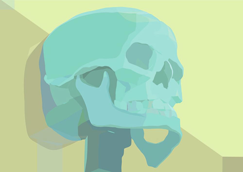 Aleksandar Veljković, Speaking skull, vektorska grafika, print na platnu, 30 x 40 cm, 2019.