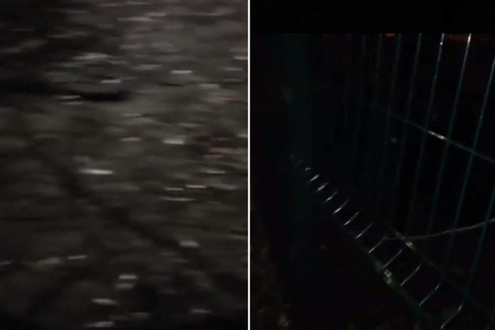 OLUJA PROTUTNJALA SUBOTICOM, OSTAVILA JE PUSTOŠ! Oštećena vozila, kuće, padalo drveće, LJUDI SU BILI U ŠOKU (VIDEO)